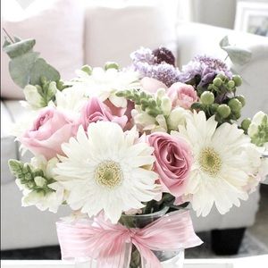 Meet your Posher, Bella!